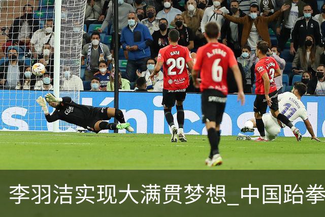 李羽洁实现大满贯梦想 中国跆拳道队五名选手全力争金
